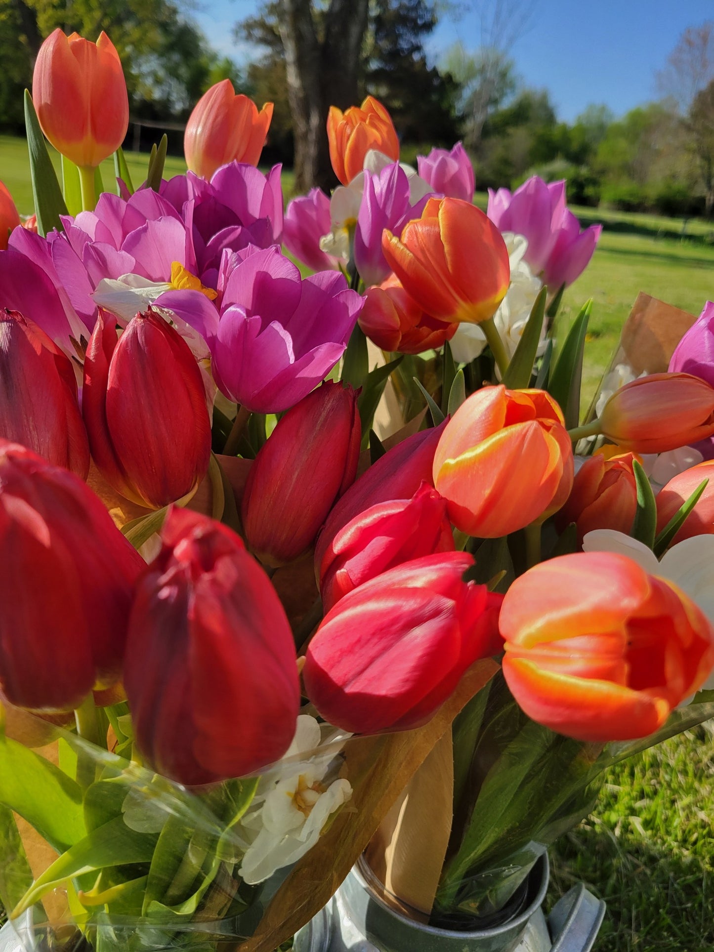 Birchfield Blooms