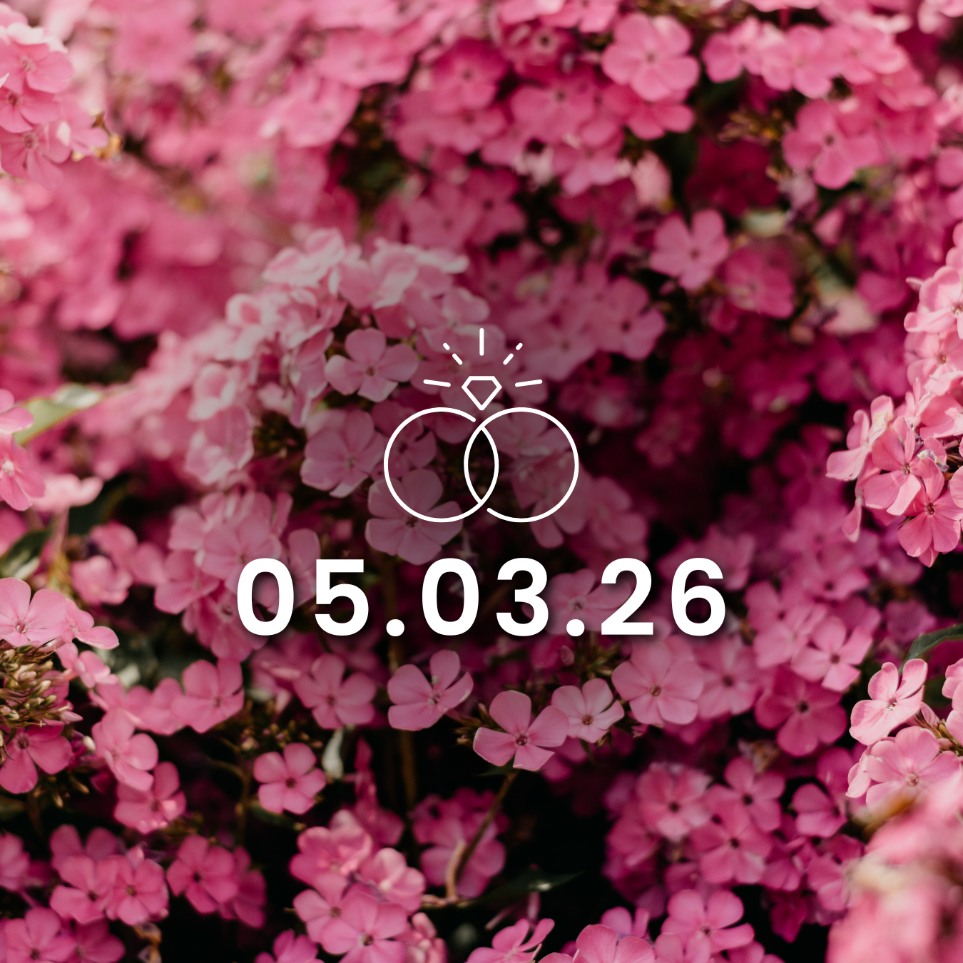 Admission - May 3, 2026