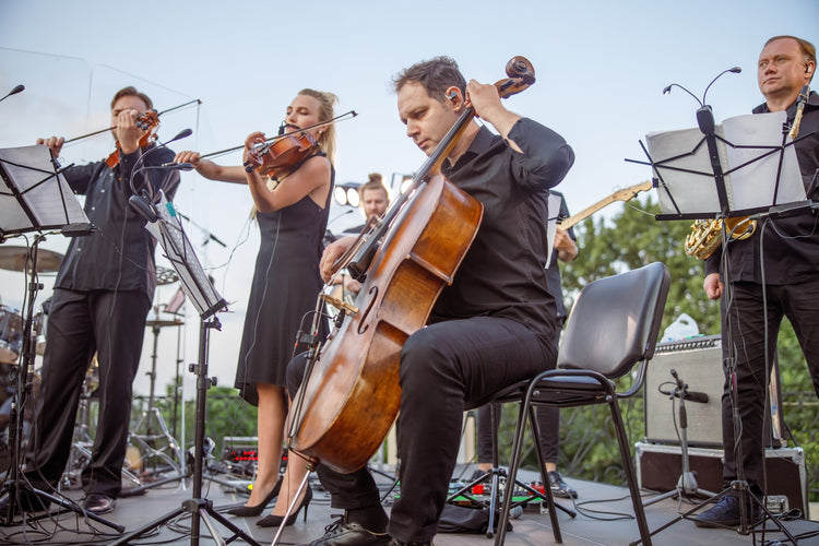 Musicians
