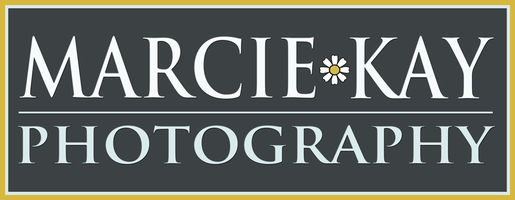 Lansing Wedding Association
