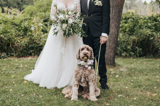 Complete Weddings & Events